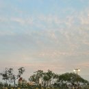 [진주 핫플 피크닉 장소 추천] 남강에서 다다피크닉 캠프닉 세트로 완벽한 피크닉 즐기기 🌞