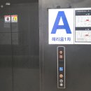 젤리펫살롱 with 아로마 이미지