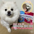 제일사료(주) 노동조합 | 강아지 산양유 유산균 간식, 일산 펫페어에서 직접 먹여보고 구매한 필메이트 그릭바이츠 후기