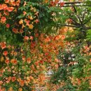 부천중앙공원공영주차장 이미지