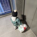 GS25 가산포스트6차점 | 쿠우쿠우골드상봉점 ,gs25와인 디아블로레드, 명가...썬크림, 탕화쿵푸마라탕가산,가산쿡키두쫀쿠,웰빙...