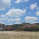 대동여자중학교 이미지