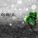 이랑공인중개사사무소 이미지