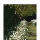 나절로미술관 이미지