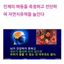 파동헬스 | 양자파동의 혁명 큐셀업을 만나보세요