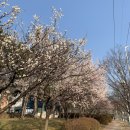 밀린 일상 ★