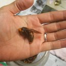 연소자연농장 이미지