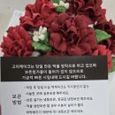 책향기로(3) | [파주 교하 떡케이크 추천] &#39;고미케이크&#39;에서 어버이날 케이크 이용한 후기