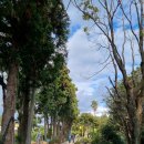 파더스 가든에서 작은음악회 이미지