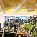 비코3호 이미지