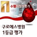 MEDI FLOWER 147 이미지