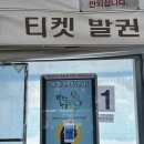 [청양] 알프스마을 칠갑산 얼음분수 축제 후기(내돈내산)