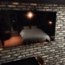 스테이월호텔 이미지