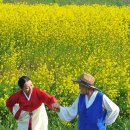 죽화로 Daum카페