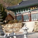 순천-79호 이미지