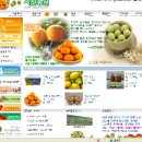 사천몰 매실-새미골농원(www.maesilkorea.net),사천농원(www.4000nongwon.net)에서 만나보세요~