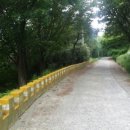 동주초교 이미지