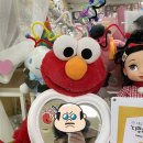 순천-54호 네이버블로그
