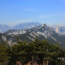 모노골샘터 이미지