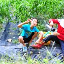 형래농장 이미지