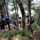 태안군, 제9회 태안 솔향기길 축제 29일 개최!(서산태안신문) 이미지