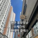 몽땅멍냥 | [천안] 강아지 간식 원데이 클래스 후기 at 몽땅멍냥 천안 청담점