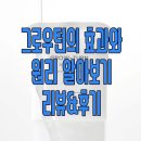 턴 | 그로우턴 후기, 정말 탈모약 보다 효과가 좋을까??