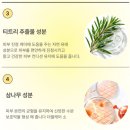 폴렌 | 트러블 진정 에센스 추천｜호호바스토리 티트리 카밍 폴렌에센스 사용 후기