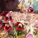 솔샘자동차 이미지