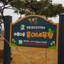 영두농장 네이버블로그