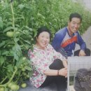 효민농장 이미지