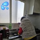 오*식 이미지