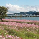 한강게임장 이미지