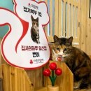착한펫#