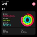 미미마라탕하우스