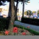 이천동회관 이미지