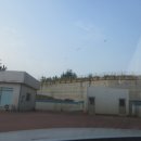 동호주유소 이미지