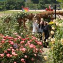 임실치즈테마파크1 이미지