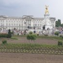 춘천황금부동산공인중개사사무소 이미지