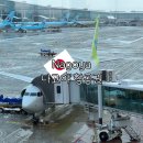 나고야 항공권 직항 항공사 진에어 탑승 후기