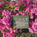 내일은 입하(立夏)로 저무는 봄(暮春). 또한 어린이 날.