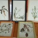 미순농장 이미지