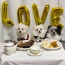 까까묵자 이미지