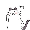 캡틴게임장 이미지