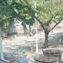요거트아이스크림의정석장림점