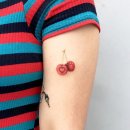 시사 서플라이(SISA SUPPLY) 이미지