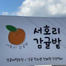 지은농장 | [공지] 제주감귤농장 서호리감귤밭 농장직송 감귤택배