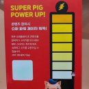 팔도슈퍼(자판기) | 1001 한돈데이 성수 팝업스토어 현장 웨이팅 (10월 9일 운영 종료)