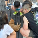 삼척해수욕장B | 강원도 삼척 | 동해바다 | 무더운 여름방학 아이들과 함께놀기좋은 '삼척해수욕장'&amp; 순두부젤라또4호점