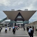 기프트 펫 이미지